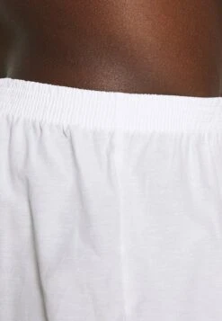 Pier One 5 PACK - Boxershorts - Light Blue/white 13 Pier One 5 PACK - Boxershorts - Light Blue/white -Herrenbekleidung Rabatte 8e2664e226c041628a342c1ad591e54d